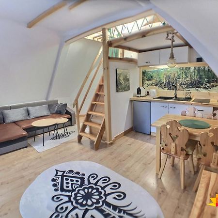 Ski Tour Apartments Zakopane Extérieur photo