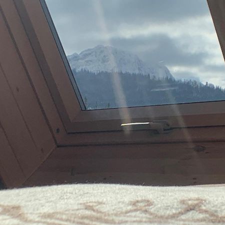 Ski Tour Apartments Zakopane Extérieur photo