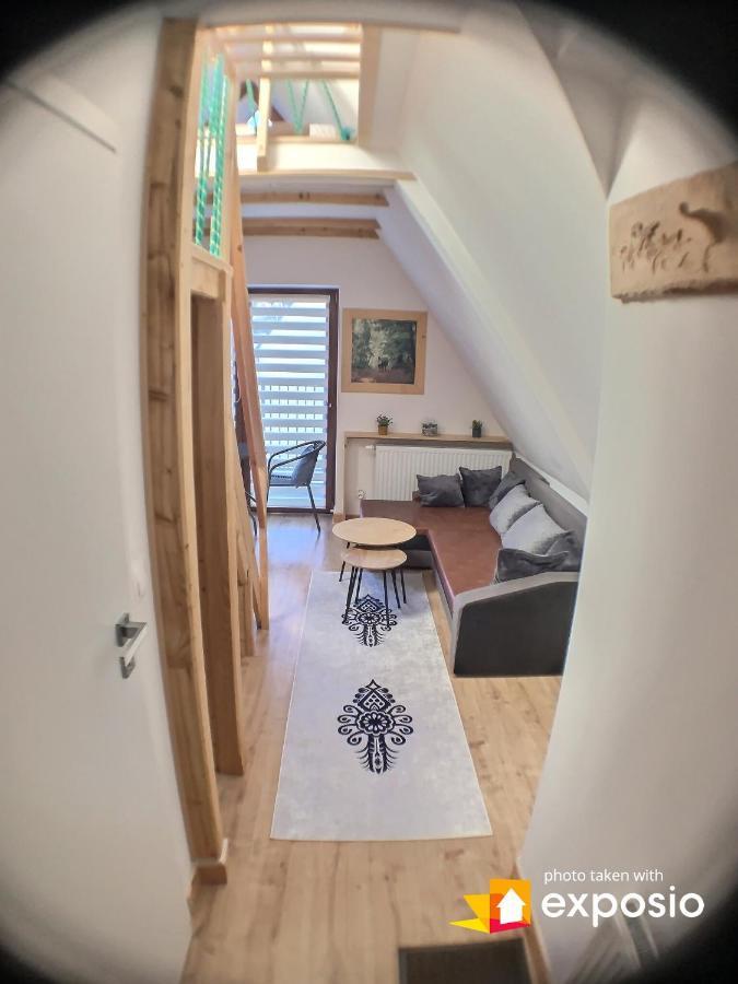 Ski Tour Apartments Zakopane Extérieur photo